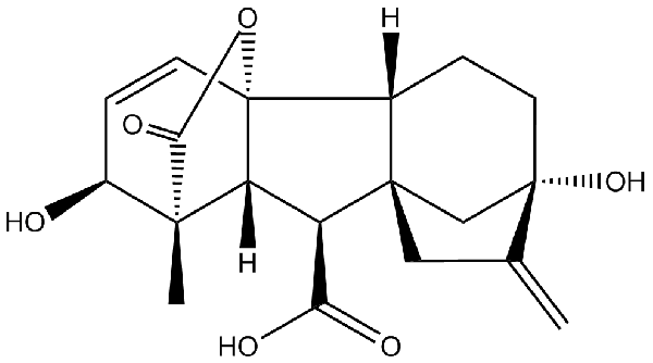 赤霉素GIBBERELLIC ACID，居然有這么神奇？